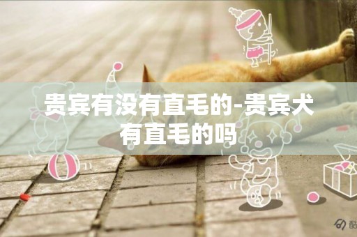 貴賓有沒有直毛的-貴賓犬有直毛的嗎