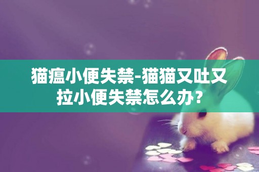 貓瘟小便失禁-貓貓又吐又拉小便失禁怎么辦？