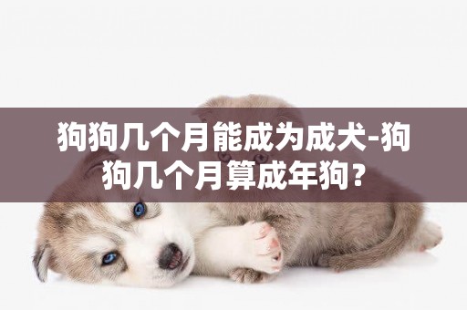 狗狗幾個月能成為成犬-狗狗幾個月算成年狗？
