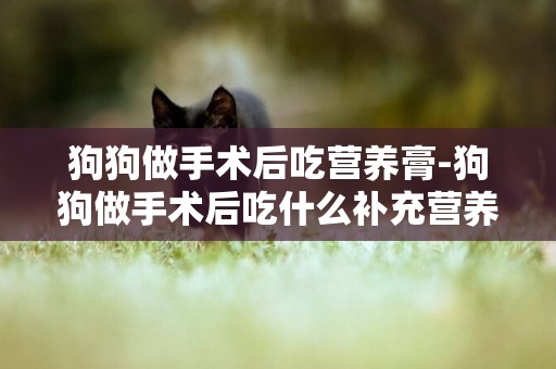 狗狗做手術后吃營養膏-狗狗做手術后吃什么補充營養