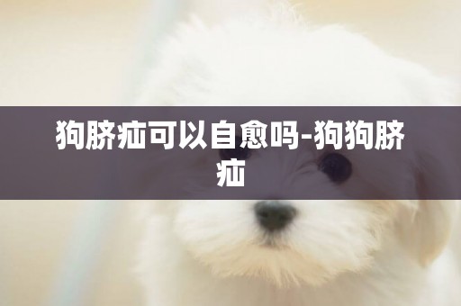 狗臍疝可以自愈嗎-狗狗臍疝