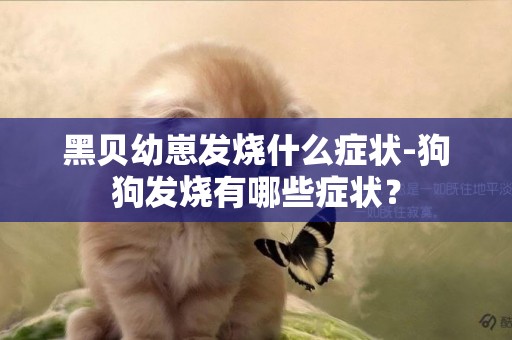 黑貝幼崽發燒什么癥狀-狗狗發燒有哪些癥狀？