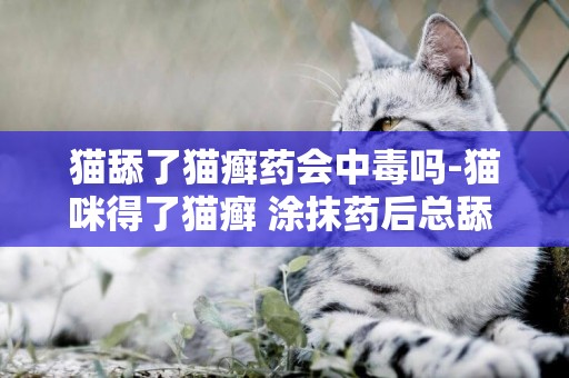 貓舔了貓癬藥會中毒嗎-貓咪得了貓癬 涂抹藥后總舔 