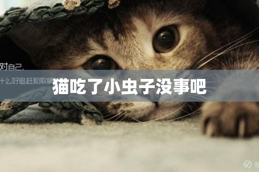 貓吃了小蟲子沒事吧