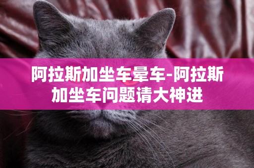 阿拉斯加坐車暈車-阿拉斯加坐車問題請大神進