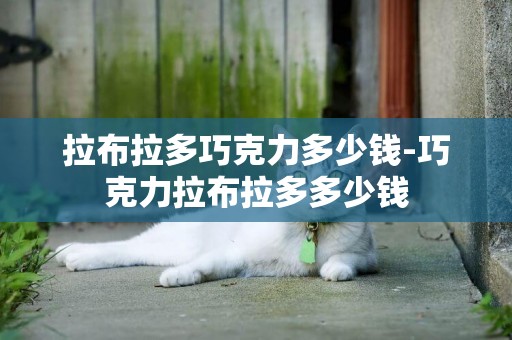 拉布拉多巧克力多少錢-巧克力拉布拉多多少錢