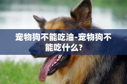 寵物狗不能吃油-寵物狗不能吃什么?