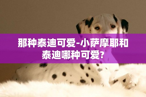 那種泰迪可愛-小薩摩耶和泰迪哪種可愛?
