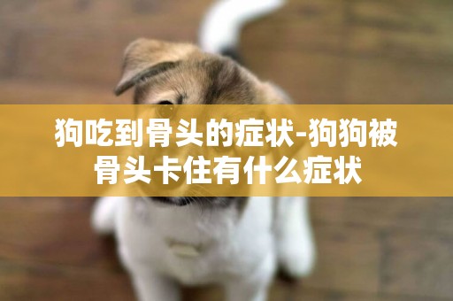 狗吃到骨頭的癥狀-狗狗被骨頭卡住有什么癥狀