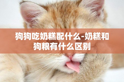 狗狗吃奶糕配什么-奶糕和狗糧有什么區別