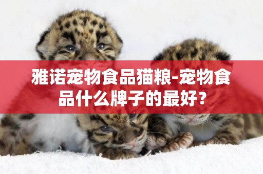 雅諾寵物食品貓糧-寵物食品什么牌子的最好？
