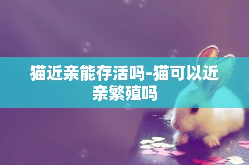 貓近親能存活嗎-貓可以近親繁殖嗎