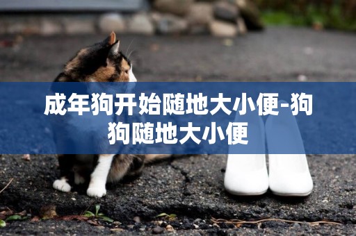 成年狗開始隨地大小便-狗狗隨地大小便
