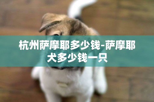 杭州薩摩耶多少錢-薩摩耶犬多少錢一只
