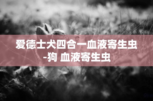 愛德士犬四合一血液寄生蟲-狗 血液寄生蟲