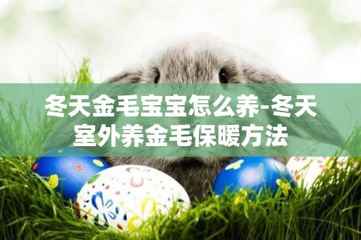 冬天金毛寶寶怎么養-冬天室外養金毛保暖方法