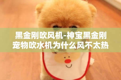 黑金剛吹風機-神寶黑金剛寵物吹水機為什么風不太熱