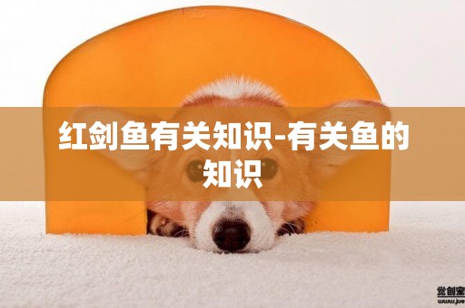 紅劍魚有關知識-有關魚的知識