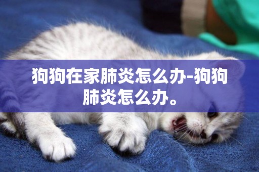 狗狗在家肺炎怎么辦-狗狗肺炎怎么辦。