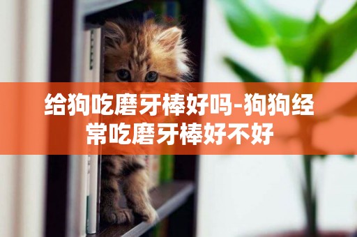 給狗吃磨牙棒好嗎-狗狗經常吃磨牙棒好不好