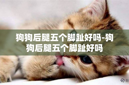狗狗后腿五個腳趾好嗎-狗狗后腿五個腳趾好嗎