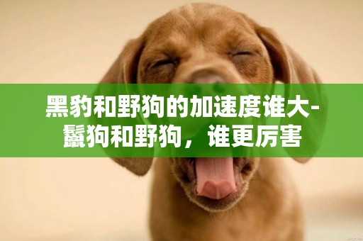 黑豹和野狗的加速度誰大-鬣狗和野狗，誰更厲害