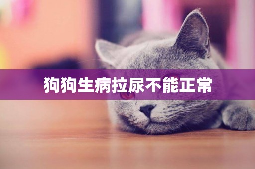狗狗生病拉尿不能正常