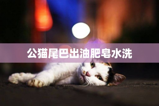 公貓尾巴出油肥皂水洗
