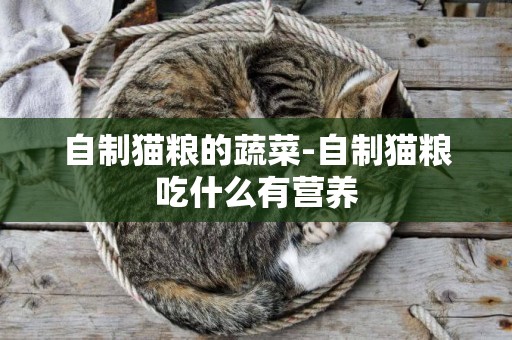 自制貓糧的蔬菜-自制貓糧吃什么有營養
