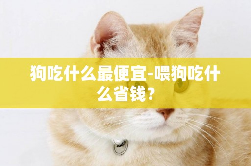 狗吃什么最便宜-喂狗吃什么省錢？