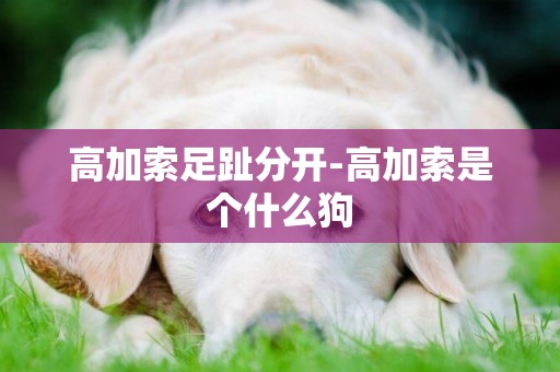 高加索足趾分開-高加索是個什么狗