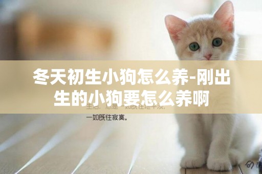 冬天初生小狗怎么養-剛出生的小狗要怎么養啊