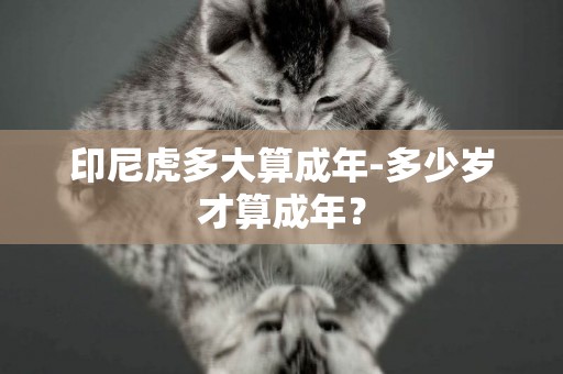 印尼虎多大算成年-多少歲才算成年？