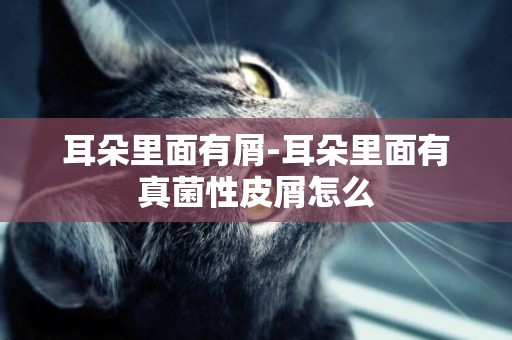 耳朵里面有屑-耳朵里面有真菌性皮屑怎么