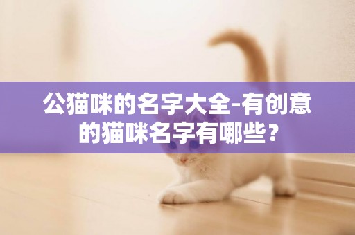 公貓咪的名字大全-有創意的貓咪名字有哪些？
