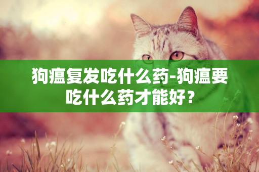 狗瘟復發吃什么藥-狗瘟要吃什么藥才能好？