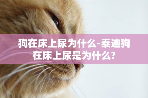 狗在床上尿為什么-泰迪狗在床上尿是為什么?