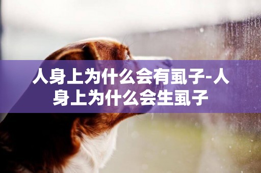 人身上為什么會有虱子-人身上為什么會生虱子