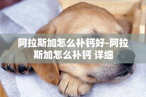 阿拉斯加怎么補鈣好-阿拉斯加怎么補鈣 詳細