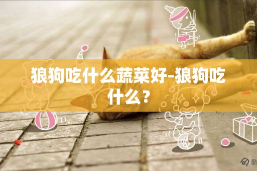 狼狗吃什么蔬菜好-狼狗吃什么？