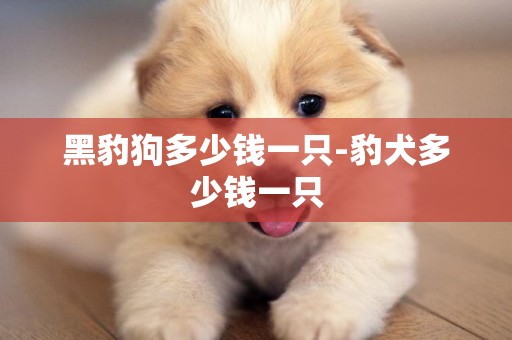 黑豹狗多少錢一只-豹犬多少錢一只