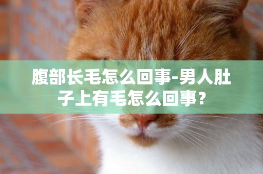 腹部長毛怎么回事-男人肚子上有毛怎么回事？