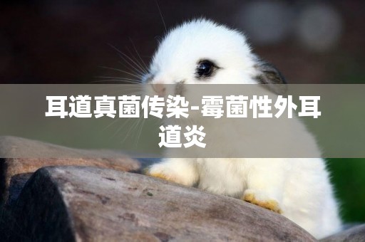 耳道真菌傳染-霉菌性外耳道炎