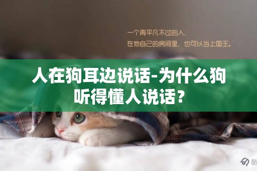 人在狗耳邊說話-為什么狗聽得懂人說話？
