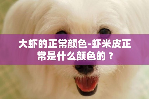 大蝦的正常顏色-蝦米皮正常是什么顏色的 ?