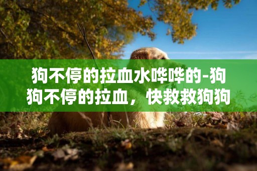 狗不停的拉血水嘩嘩的-狗狗不停的拉血，快救救狗狗吧！