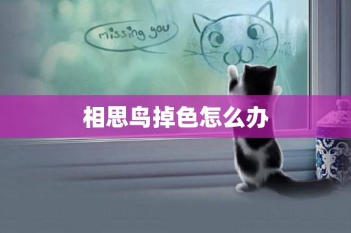 相思鳥掉色怎么辦