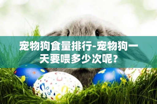 寵物狗食量排行-寵物狗一天要喂多少次呢？