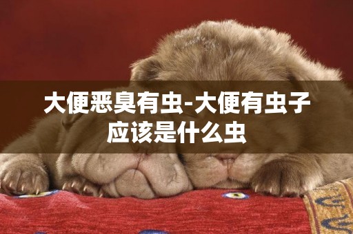 大便惡臭有蟲-大便有蟲子應該是什么蟲