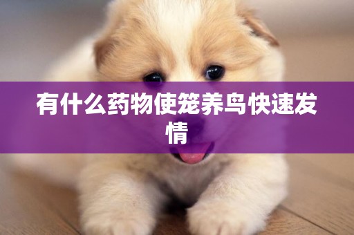 有什么藥物使籠養鳥快速發情